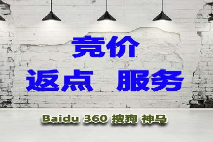 某品牌SEM广告投放的ROI提升案例